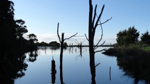 A Fare With Nature @ Prom Road Farm - Accommodation Port Macquarie 6