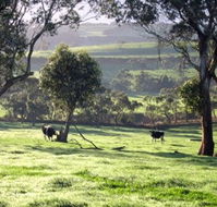 Bellevue Farmstay - Accommodation Port Macquarie