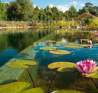 Planetrees Estate  - Accommodation Port Macquarie