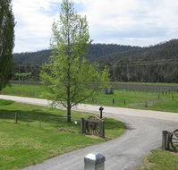 Glenmore Springs Accommodation - Accommodation Port Macquarie