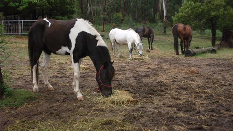 Buller Basecamp Retreat - Accommodation Port Macquarie 4