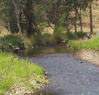 Murphy's Cabin - Accommodation Port Macquarie