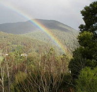 Wattletree Cottage - Accommodation Port Macquarie