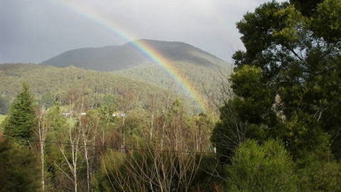 Wattletree Cottage - Accommodation Port Macquarie 0