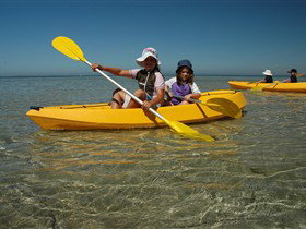 Ceduna Shelly Beach Caravan Park And Beachfront Villas - Accommodation Port Macquarie 3