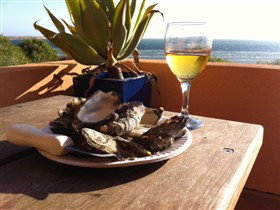 Ceduna Shelly Beach Caravan Park And Beachfront Villas - Accommodation Port Macquarie 4