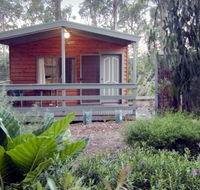 A Maze 'N Things Holiday Park - Accommodation Port Macquarie