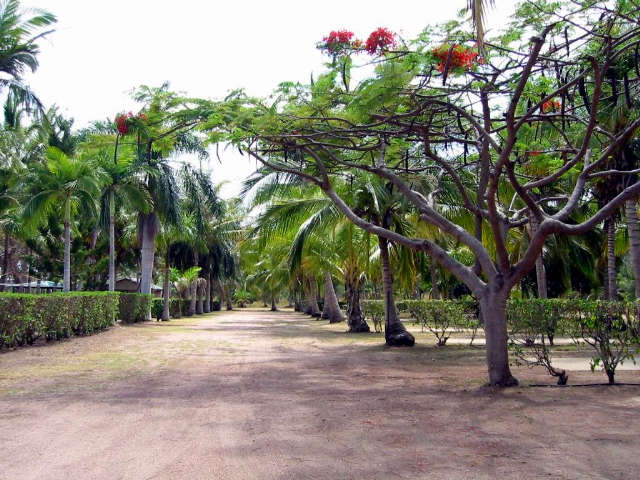 Alva QLD Accommodation Port Macquarie
