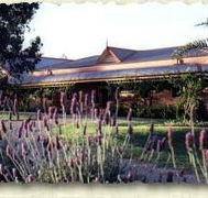 Bluebush Estate - Accommodation Port Macquarie