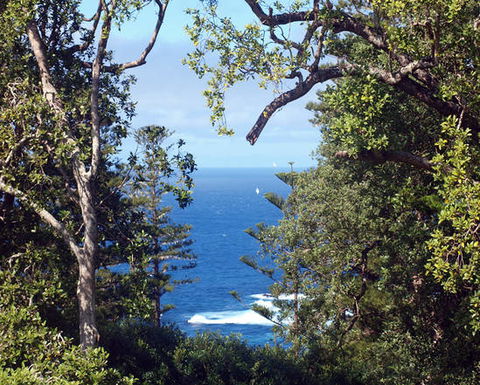 Bucks Point House - Accommodation Port Macquarie 3