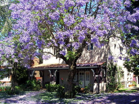 Callam Court - Accommodation Port Macquarie 0