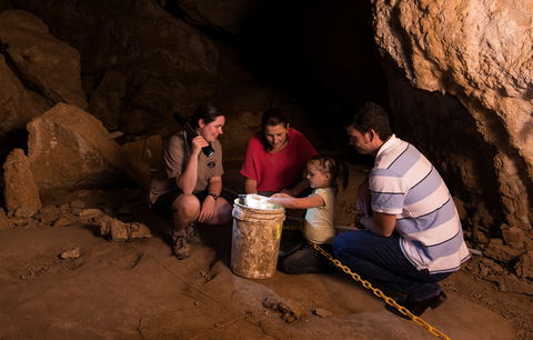 Capricorn Caves - Accommodation Port Macquarie 1