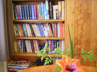 Channers On Norfolk - Accommodation Port Macquarie 4