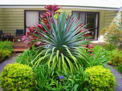 Channers On Norfolk - Accommodation Port Macquarie 5