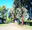 Cudal Caravan Park - Accommodation Port Macquarie