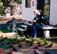 Inland Waters Holiday Parks Burrinjuck - Accommodation Port Macquarie