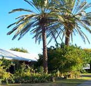 Merino Motor Inn - Accommodation Port Macquarie
