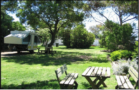 Millicent Hillview Caravan Park - Accommodation Port Macquarie 2