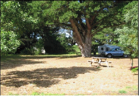 Millicent Hillview Caravan Park - Accommodation Port Macquarie 4