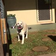 Neds Bed - Accommodation Port Macquarie 7