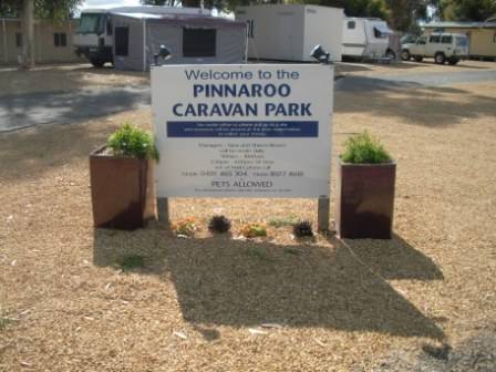 Pinnaroo Caravan Park - Accommodation Port Macquarie 0