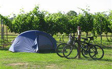 Active Holidays BIG4 Hunter Valley - Accommodation Port Macquarie 4