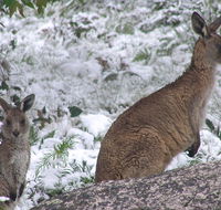 Barokee campground - Accommodation Port Macquarie