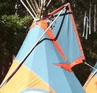 Central Coast Eco Tours - Accommodation Port Macquarie