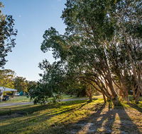 Delicate campground - Accommodation Port Macquarie