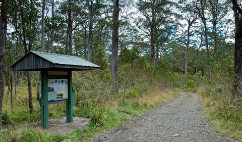 Devils Hole Campground And Picnic Area - Accommodation Port Macquarie 1