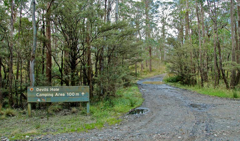 Barrington Tops NSW Accommodation Port Macquarie