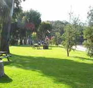 Sapphire Sun Eco Holiday Village - Accommodation Port Macquarie
