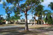 Sheldon Caravan Park - Accommodation Port Macquarie 0