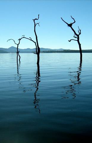 Tinaroo Lake Resort - Holiday Apartments - Accommodation Port Macquarie 11