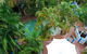 White Crest Luxury Apartments - thumb 1