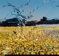 Wooleen Station - Accommodation Port Macquarie