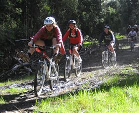 Lima East VIC Accommodation Port Macquarie