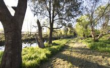 Fossickers Tourist Park - Accommodation Port Macquarie 5