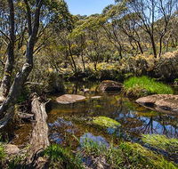 Junction Pools campground - Accommodation Port Macquarie
