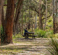 Koreelah Creek campground - Accommodation Port Macquarie
