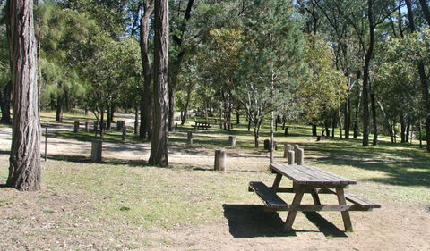 Lemon Tree Flat Campground - Accommodation Port Macquarie 0