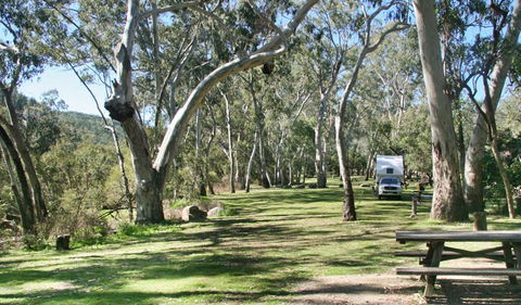 Lemon Tree Flat Campground - Accommodation Port Macquarie 2
