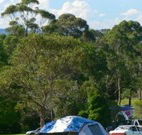 Milton Valley Holiday Park - Accommodation Port Macquarie