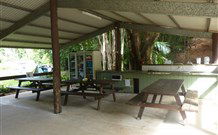 Mt Warning Rainforest Park - Accommodation Port Macquarie 4