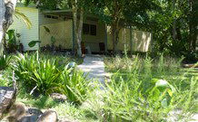 Mt Warning Rainforest Park - Accommodation Port Macquarie 5