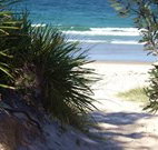 Myola Tourist Resort Caravan Park - Accommodation Port Macquarie