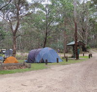 Native Dog campground - Accommodation Port Macquarie