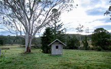 Pillar Rock Farm - Accommodation Port Macquarie 3