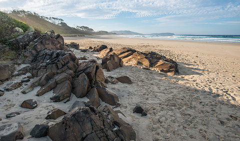 Racecourse Campground - Accommodation Port Macquarie 1
