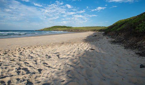Racecourse Campground - Accommodation Port Macquarie 2